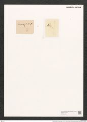 Schizonema hyalinum (Kuetz.) Rabenh. (de-Toni-Nr.: Genus 20, Species 1189) Zeichnungen Sammlung Grunow (NHMW-BOT-W0369416)